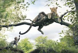 Image result for george logan photographer